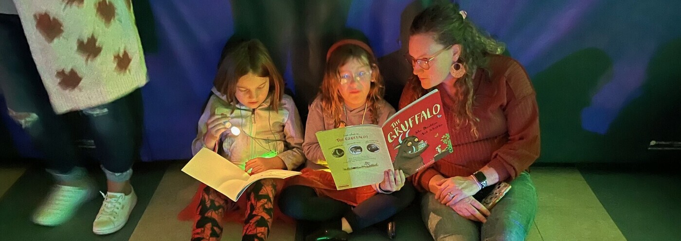 Flashlight readers